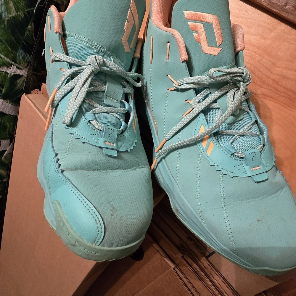 Adidas Peach and Teal High-Tops